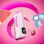 Vapepie Powergo 9800 Puffs Watermelon Ice
