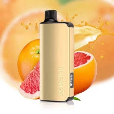 ALIBARBAR-INGOT-WTF-9000-Puffs smoking and vaping risk factors - Professional Guide and Review