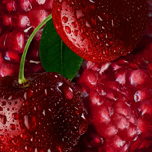 cloudvapeclub 59 my vapes australia - Professional Guide and Review