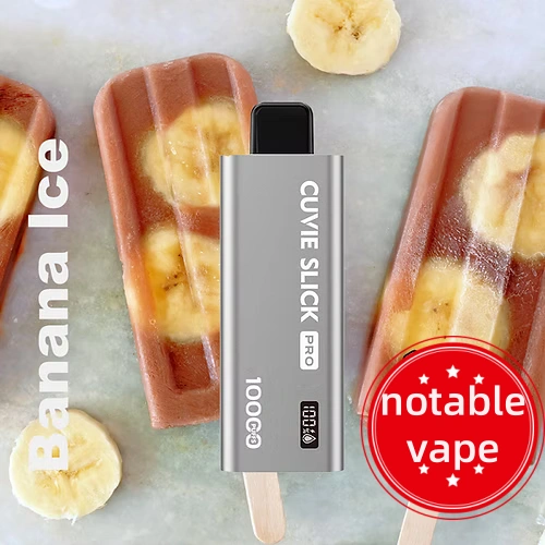 disposable vape - Professional Guide and Review