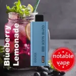 HQD Slick Pro - Blueberry Lemonade - 10,000