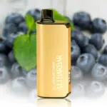 Bangbox 30000 Puffs – Dual Mesh  – Multiple Flavors