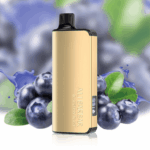 ALIBARBAR INGOT Blueberry Blast 9000 Puffs