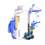 Wala POP 10000 Puffs - Blueberry Ice