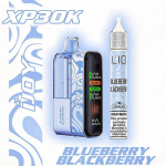 IJOY XP 30K PUFFS Blueberry Blackberry