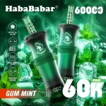 Habababar 60K Puffs Shisha – Gum Mint
