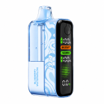 IJOY XP 100K PUFFS Blueberry Watermelon
